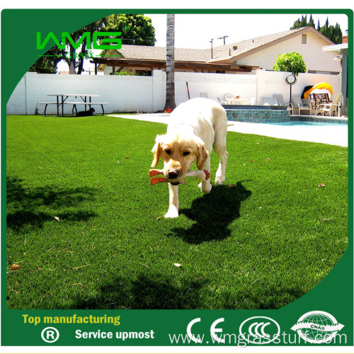 Pet Cesped Artificial Grass